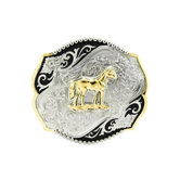 Standing Horse Buckle