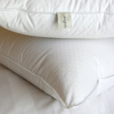 PrimaLoft Down Pillow (Set of 2)