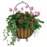 16" Cauldron Hanging Planter