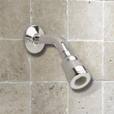 FloWise Water Saving Volume Showerhead with Arm and Flange