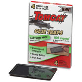 Mouse Glue Traps with Eugenol
