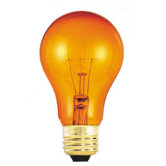 25W Transparent A19 Incandescent Bulb in Orange