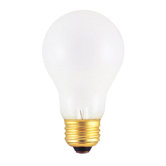 High Voltage A19 Incandescent Bulb