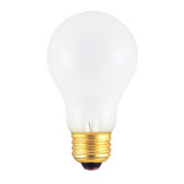 E26 Medium Base A19 Shape Incandescent Bulb