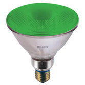90W PAR38 Halogen Bulb in Green
