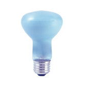 R20 Incandescent True Daylight Reflector Bulb for Flood