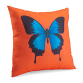 Center of Attention Pillow