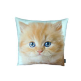 Persian Cat Pillow