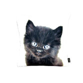 Black Persian Cat Pillow