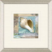 Restful Shell A Framed Art