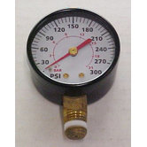 Gage 1/4 Npt 300Psi Low/Mt