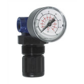 Mini Series Pressure Regulator