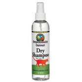 Dry 8 oz. Shampoo for Cats