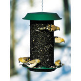 Magnum Sunflower Feeder in Green