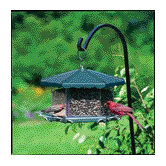 Party Bird Feeder in Gray