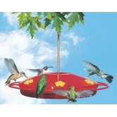 Hummingbird Oasis Feeder
