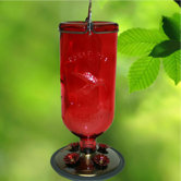 Hummingbird Antique Feeder