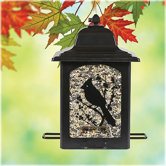Perky-Pet Birds and Berries Lantern Bird Feeder