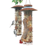 Squirrel Be Gone Wild Bird Feeder