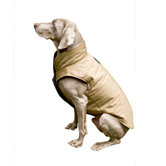 Puffy Dog Coat in Camel