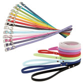 Yummy Collar and Lead Set
