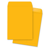 Catalog Envelopes, Plain, 9-1/2"x12-1/2", 250 per Box, Kraft