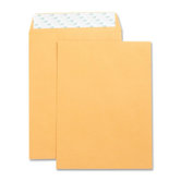 Catalog Envelopes, Self Seal,Plain, 9"x12", 250 per Box, Kraft