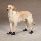 X-Treme Weather Dog Boot