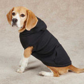 Basic Waffle Dog Hoodie