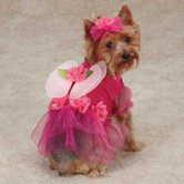 Flower Fairy Dog Costume