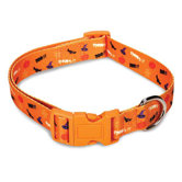 Spooky Dog Collar