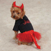 Lil' Devil Dog Skirt and Shirt Set