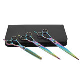 Rainbow Series Value Kit- Dog Shears