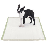 Puppy Pad