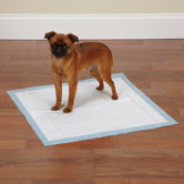 ClearQuest Value Puppy Pad
