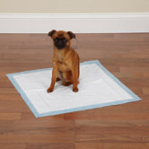 Puppy Pad