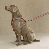 Houndstooth Dog Harness