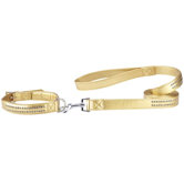 Jewel Dog Leash