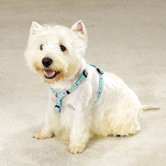 Fashion Dog Harness