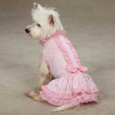 Charlotte Ruffle Dress