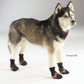 Dog Boots