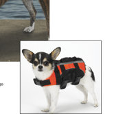Aquatic Dog Life Jacket