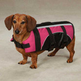 Brite Pet Life Preserver