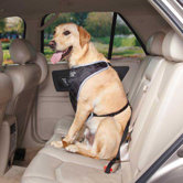 Fairfield Dog Car Harness