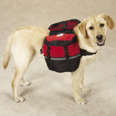 Neoprene Day Dog Tripper
