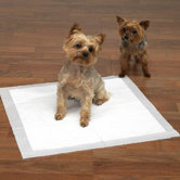 Maximum Puppy Absorbency Pad
