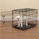 New Puppy/Dog Starter Kit - Everything You Need!