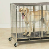 X-Tall Modular Dog Cage in Stainless Steel