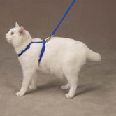 Nylon Cat Harness