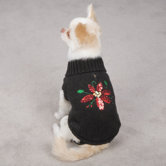 Poinsettia Dog Sweater in Black